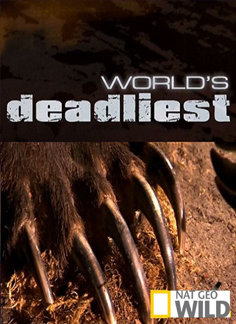 World's deadliest. World's Deadliest самые опасные животные. Покажи самого опасного хищника. World Deadliest Tour.